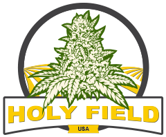 Holy Field USA